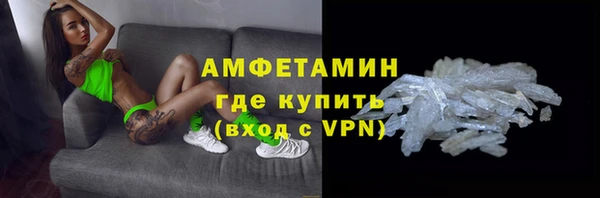 a pvp Пересвет