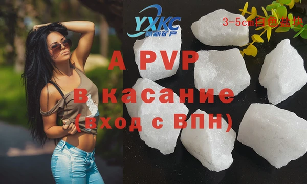 a pvp Пересвет