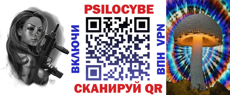 Галлюциногенные грибы Psilocybe  Урус-Мартан 
